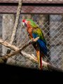 P3088477-240308-14h32m07s