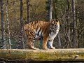 P3088488-240308-14h43m24s
