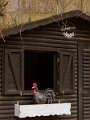 P3088552-240308-16h22m22s