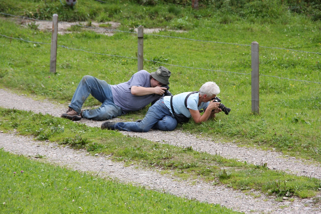 Rolf - auf der Lauer.JPG