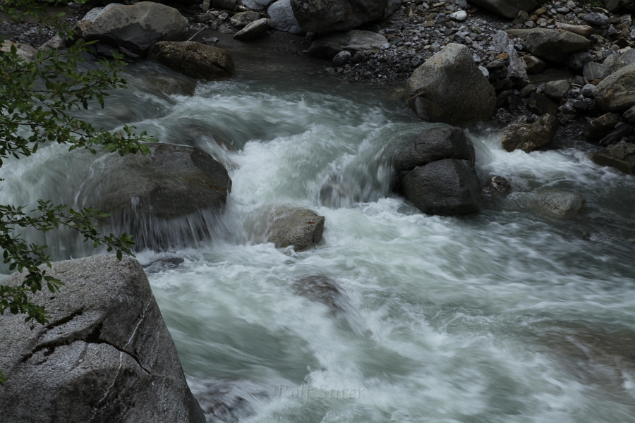 IMG_9929.JPG