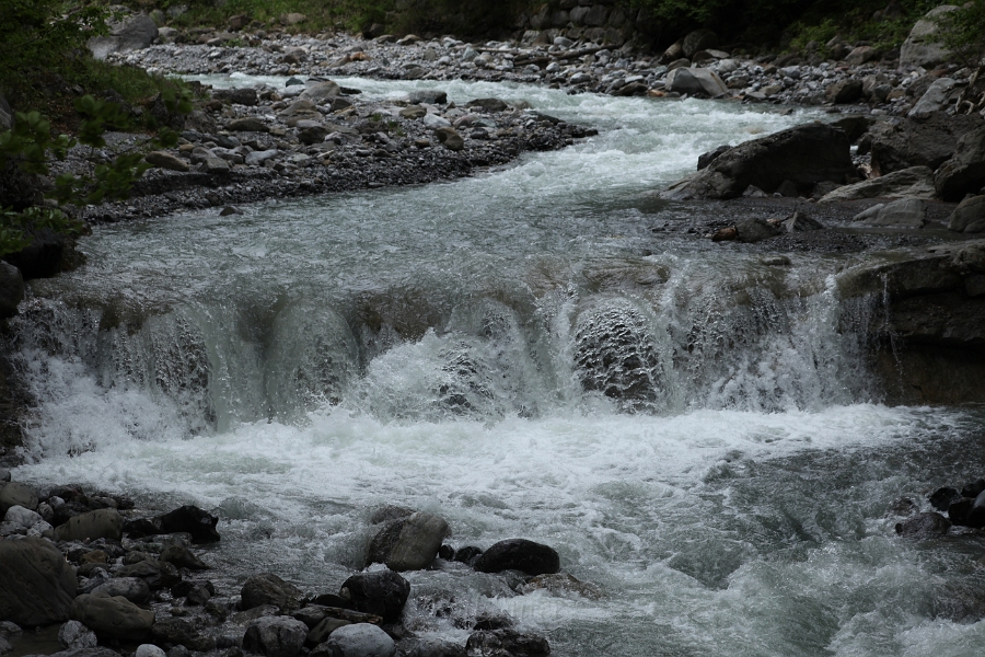 IMG_9945.JPG