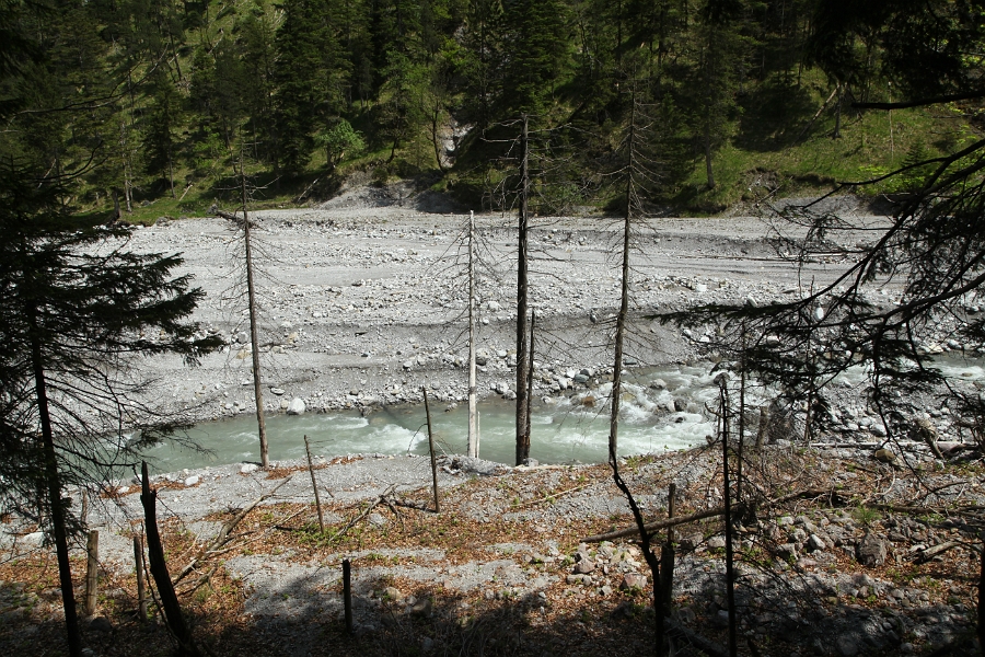 IMG_9988.JPG
