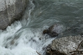 IMG_9920