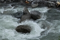 IMG_9921