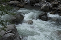 IMG_9928