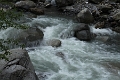IMG_9929