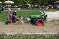 IMG_7800