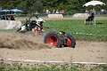 IMG_7944