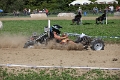 IMG_7950