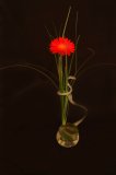 IMG_1814a