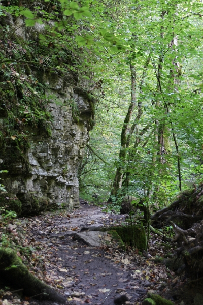 Schluchtensteig_027.jpg