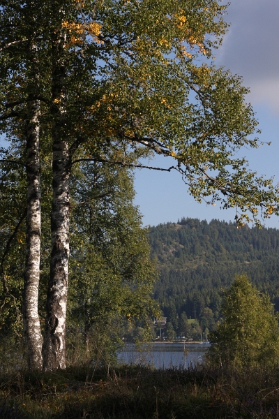 Schluchtensteig_090.jpg